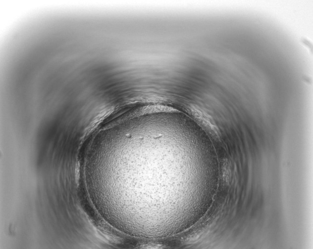 X0000093770206200710301212