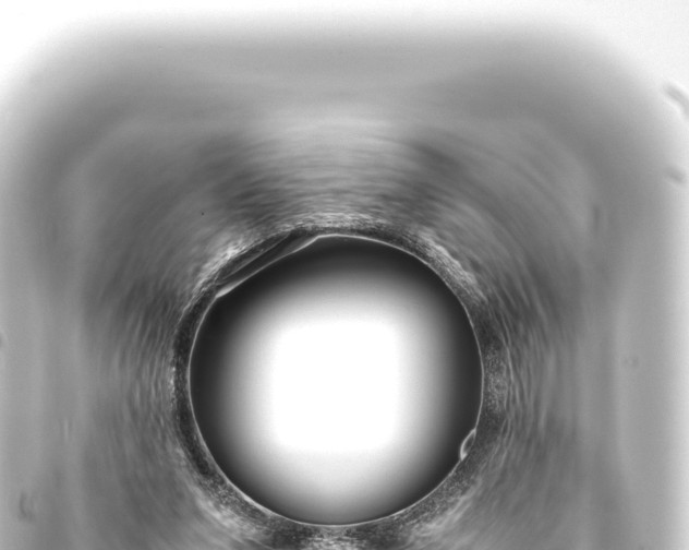 X0000093770207200710301212