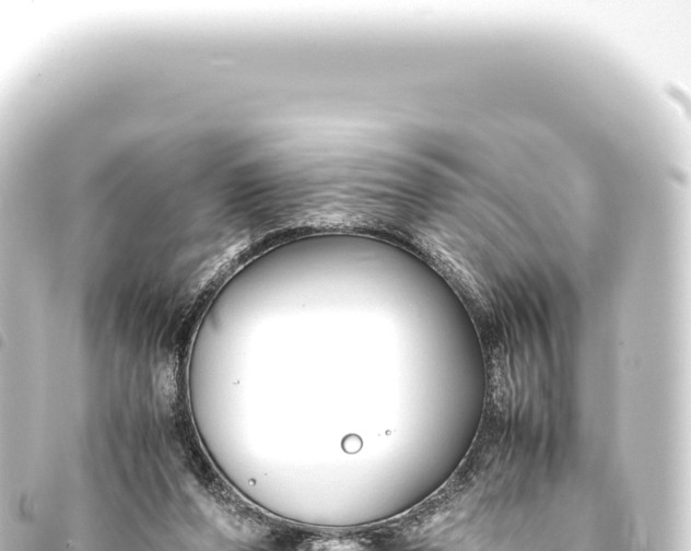 X0000093770208200710301212