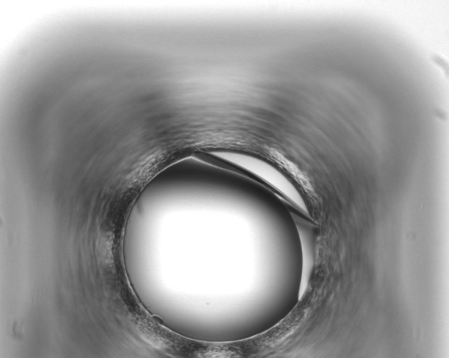 X0000093770209200710301212