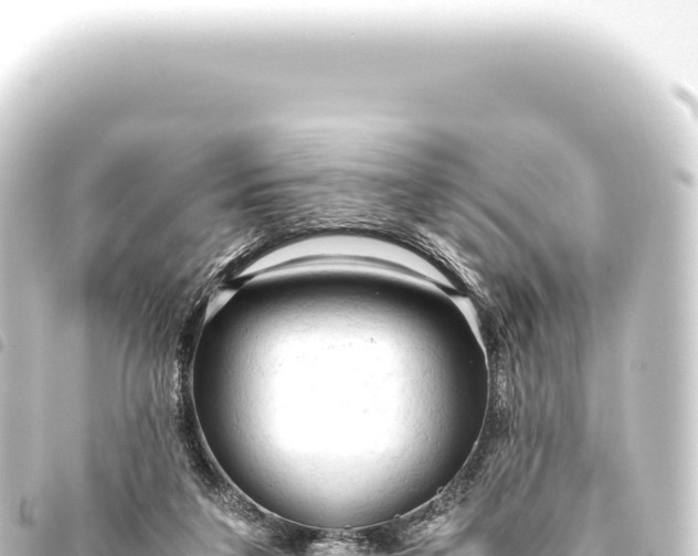 X0000093770211200710301212