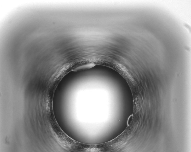 X0000093770212200710301212