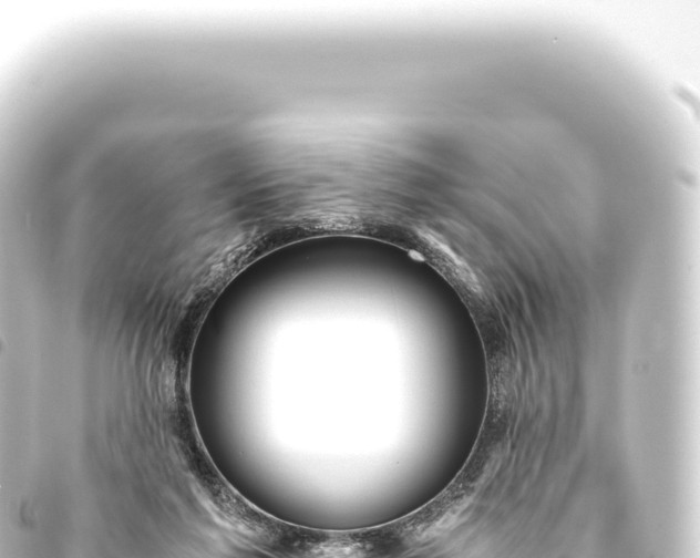 X0000093770213200710301212