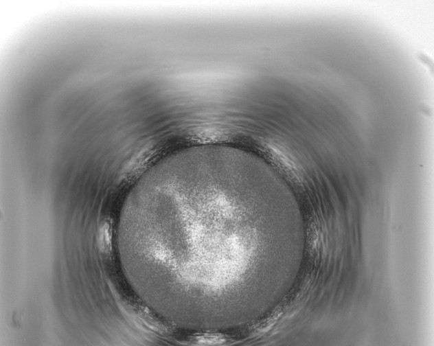 X0000093770214200710301212