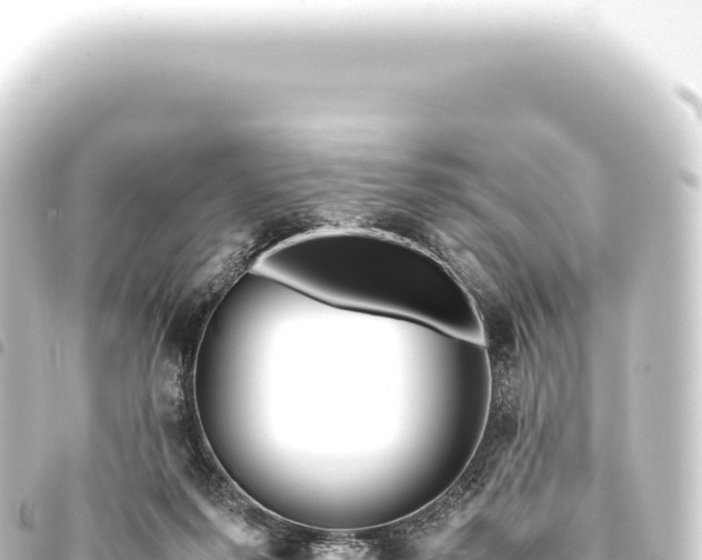 X0000093770215200710301212