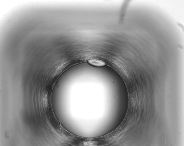 X0000093770216200710301212