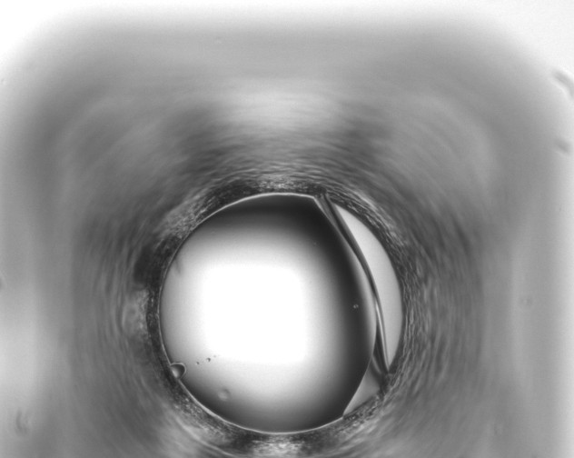 X0000093770217200710301212