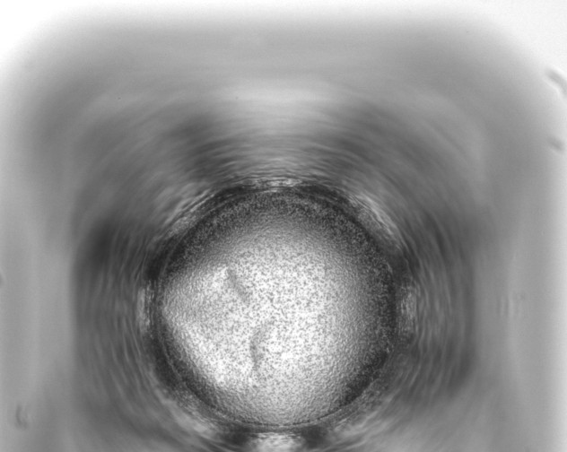 X0000093770218200710301212