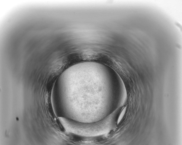 X0000093770219200710301212