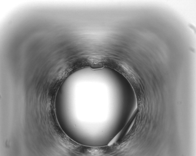 X0000093770221200710301212