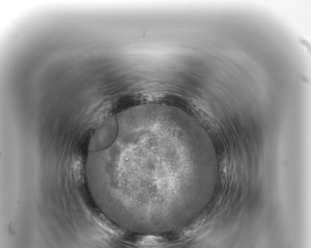 X0000093770222200710301212