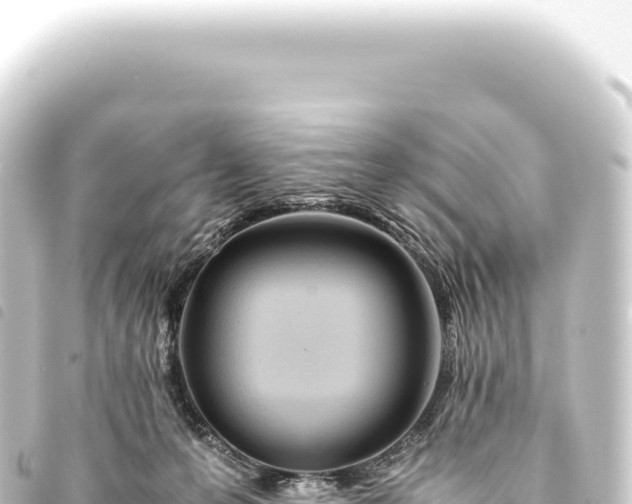 X0000093770223200710301212