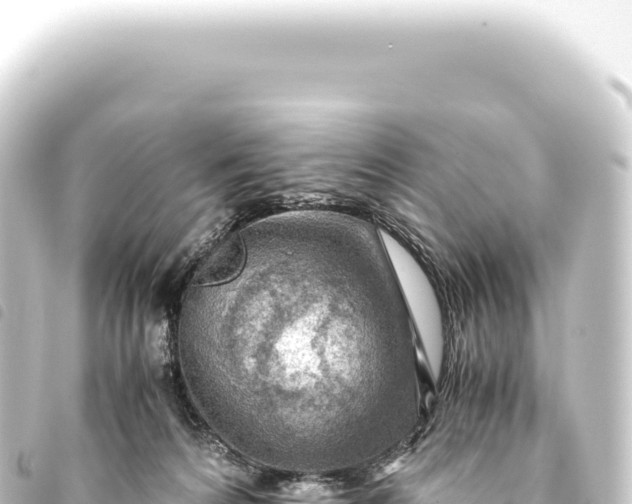 X0000093770224200710301212