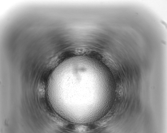 X0000093770226200710301212