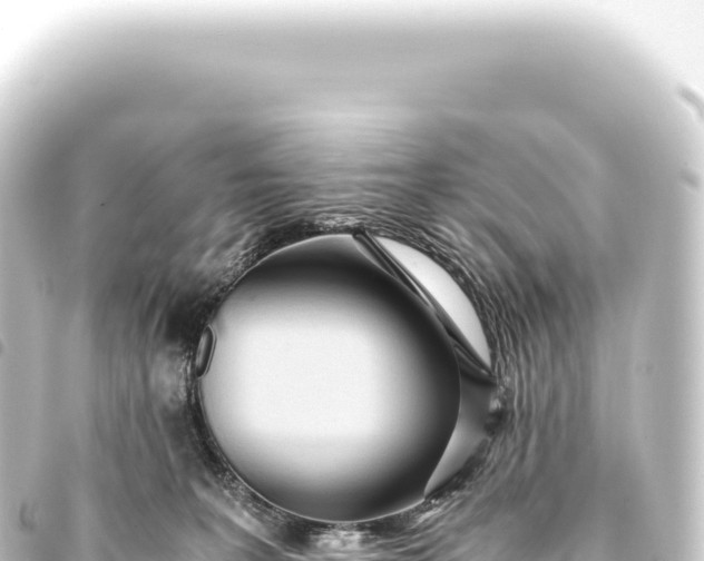 X0000093770227200710301212