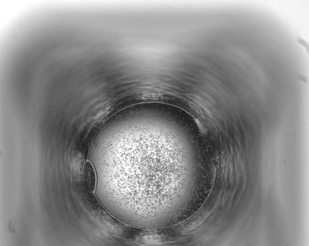 X0000093770228200710301212