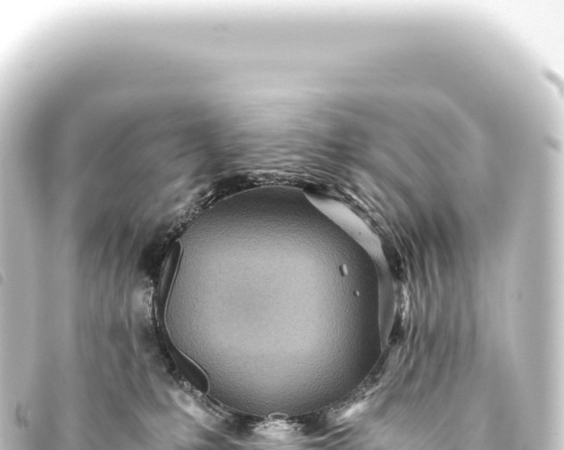 X0000093770231200710301212