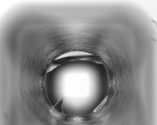 X0000093770233200710301212