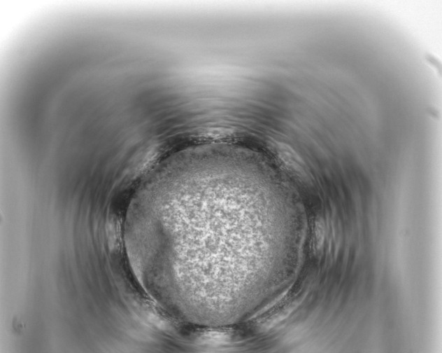 X0000093770236200710301212