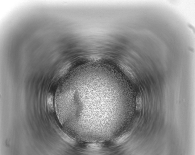 X0000093770238200710301212