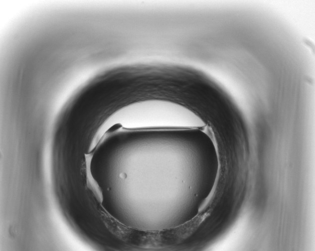 X0000093770239200710301212