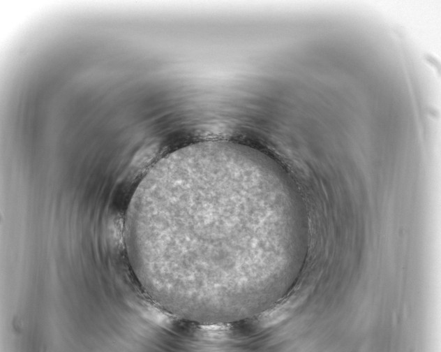 X0000093770240200710301212