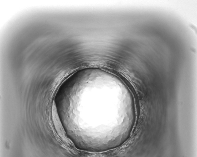 X0000093770241200710301211