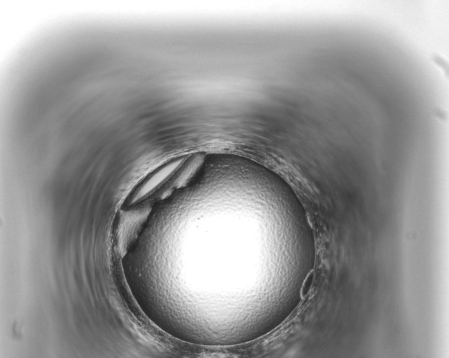 X0000093770242200710301211