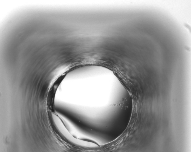 X0000093770244200710301211