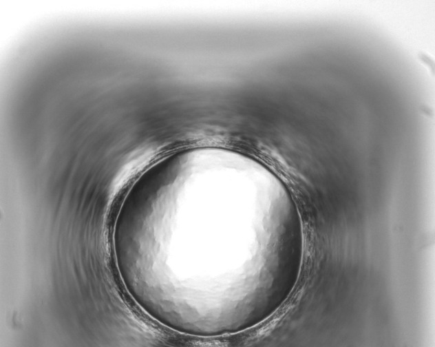 X0000093770245200710301211