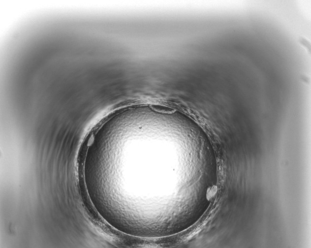 X0000093770246200710301211