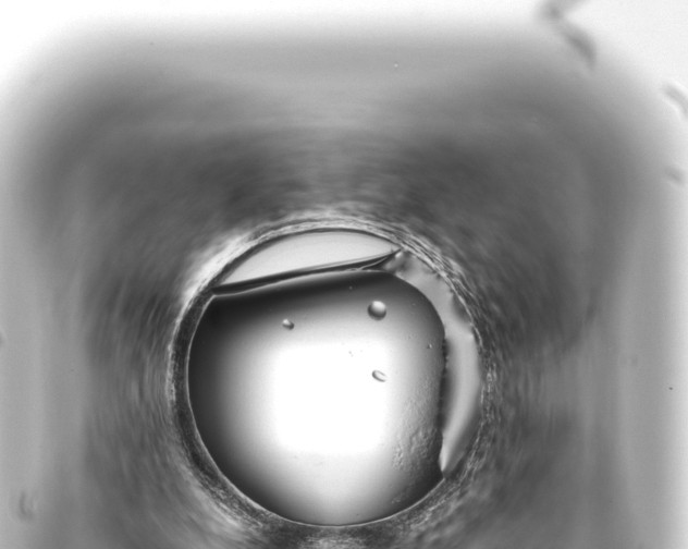 X0000093770248200710301211