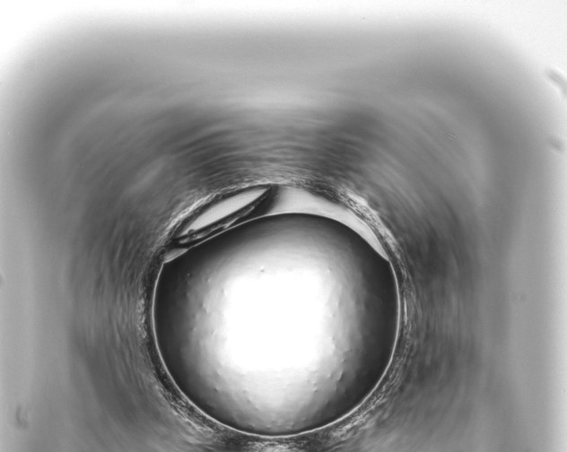 X0000093770249200710301211