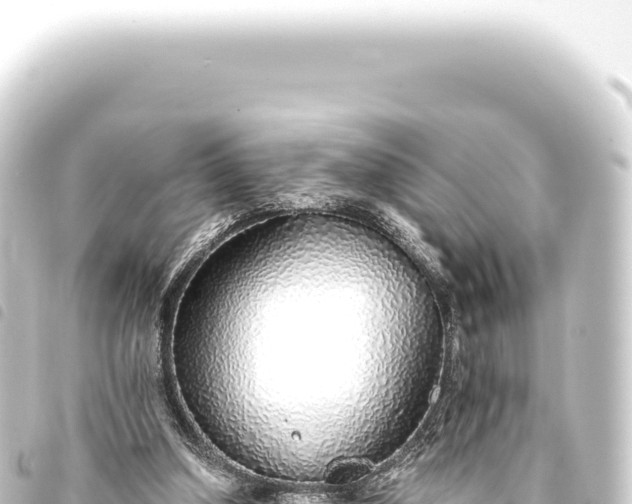 X0000093770250200710301211