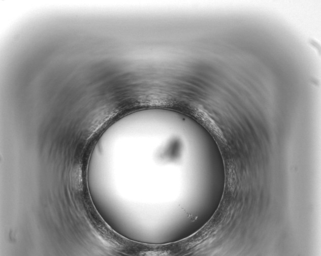 X0000093770251200710301211