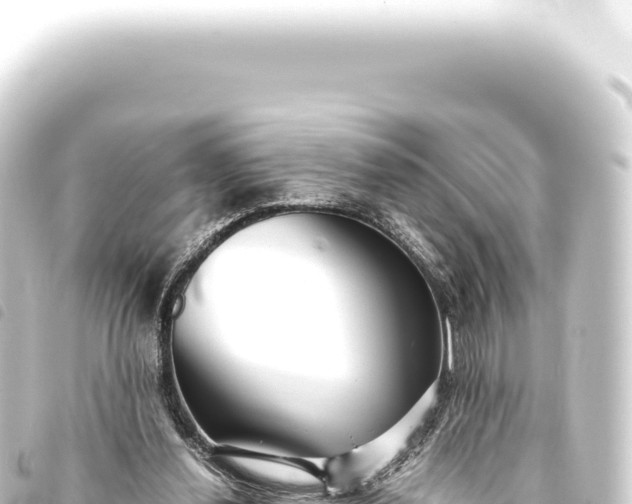 X0000093770252200710301211