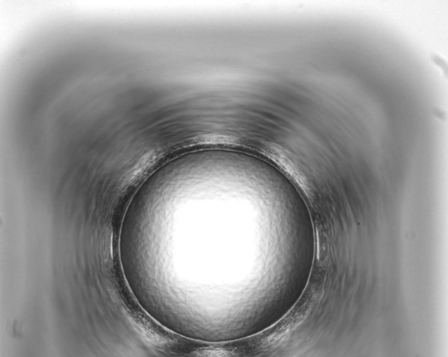 X0000093770253200710301211