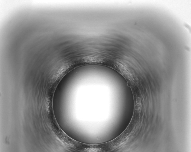 X0000093770255200710301211