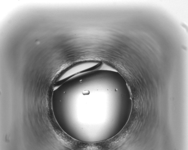 X0000093770256200710301211