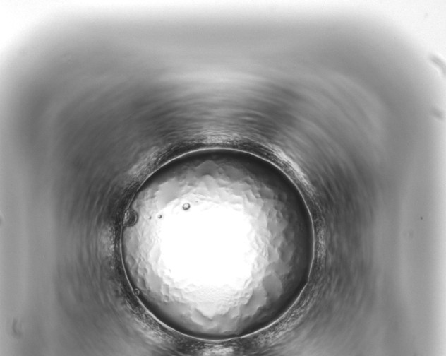 X0000093770257200710301211