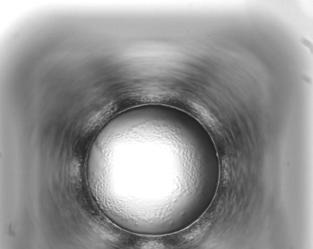 X0000093770258200710301211