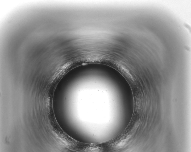 X0000093770260200710301211