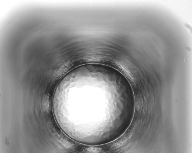 X0000093770261200710301211