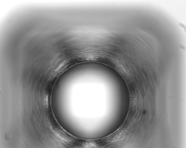 X0000093770262200710301211