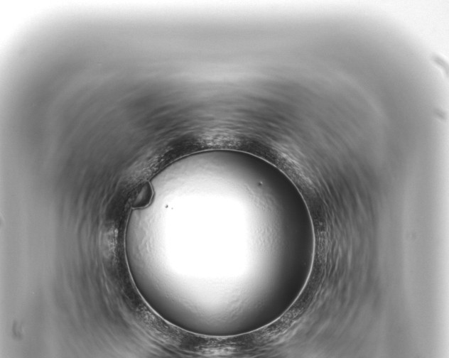 X0000093770263200710301211