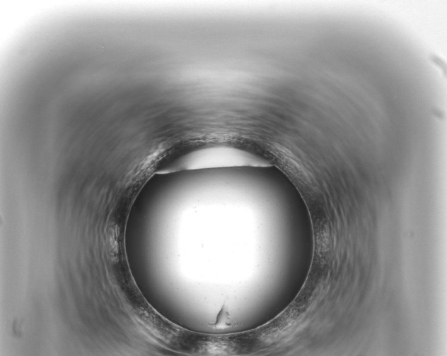 X0000093770264200710301211