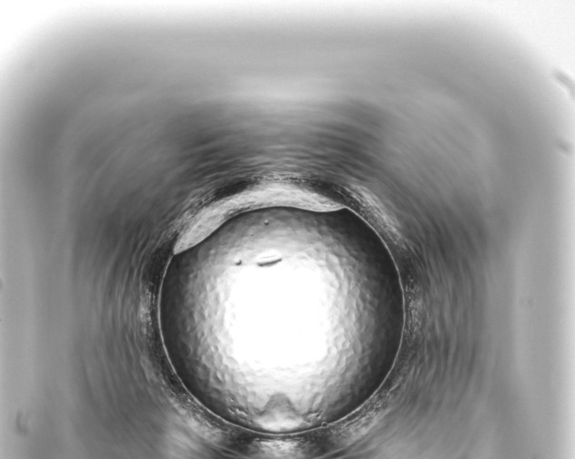 X0000093770265200710301211