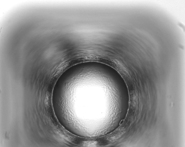 X0000093770266200710301211