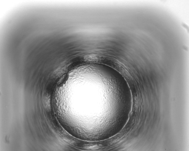 X0000093770267200710301211