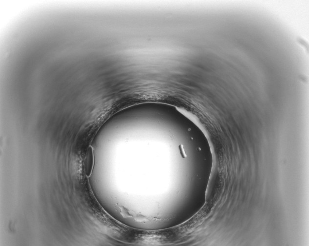 X0000093770268200710301211